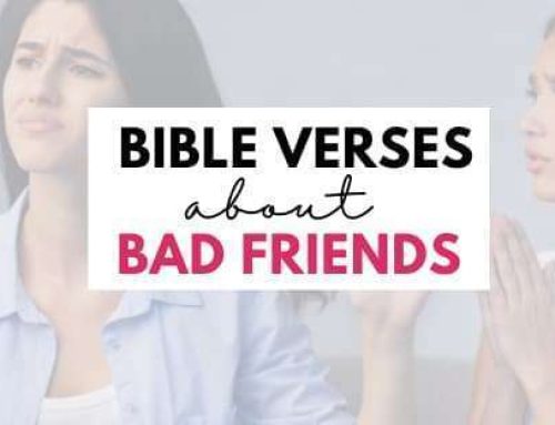 17 Bible Verses About Bad Friends